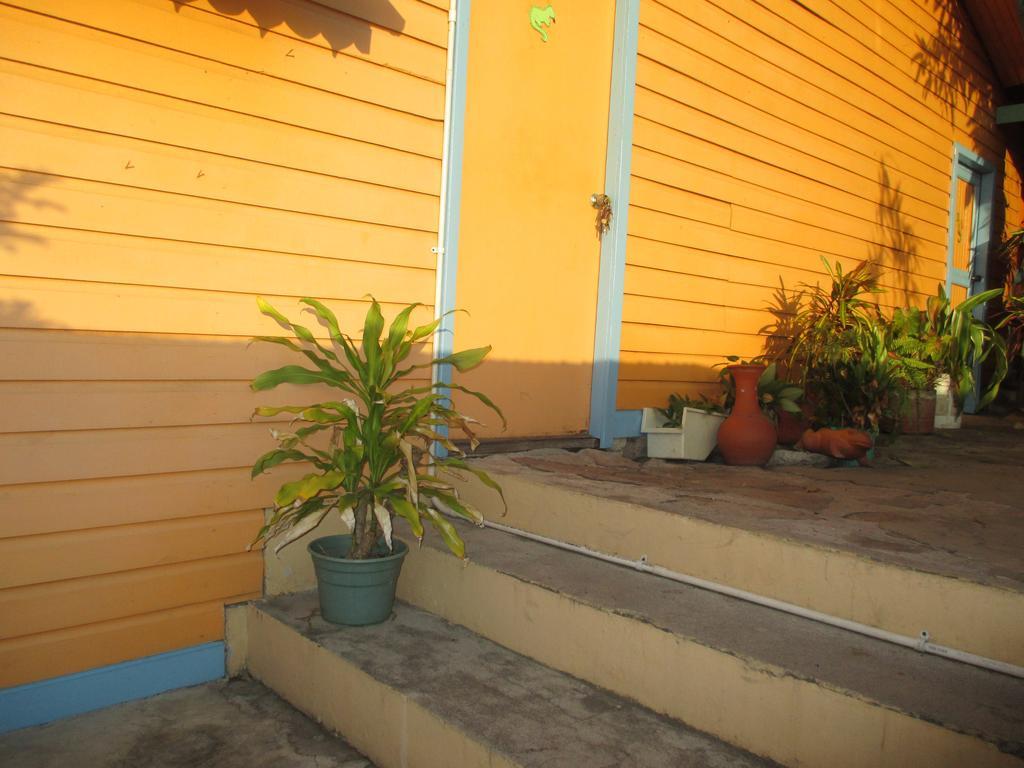 Hotel Flemming Tree Providencia Island Extérieur photo