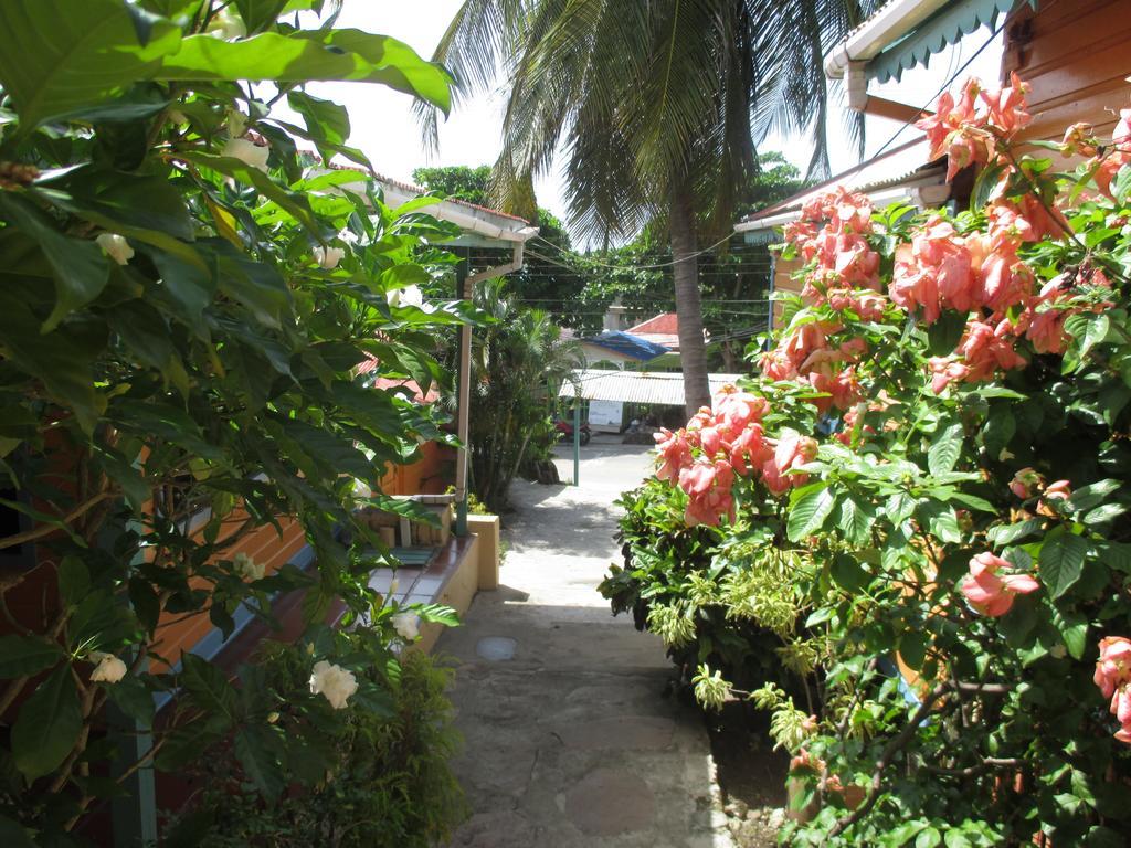 Hotel Flemming Tree Providencia Island Extérieur photo