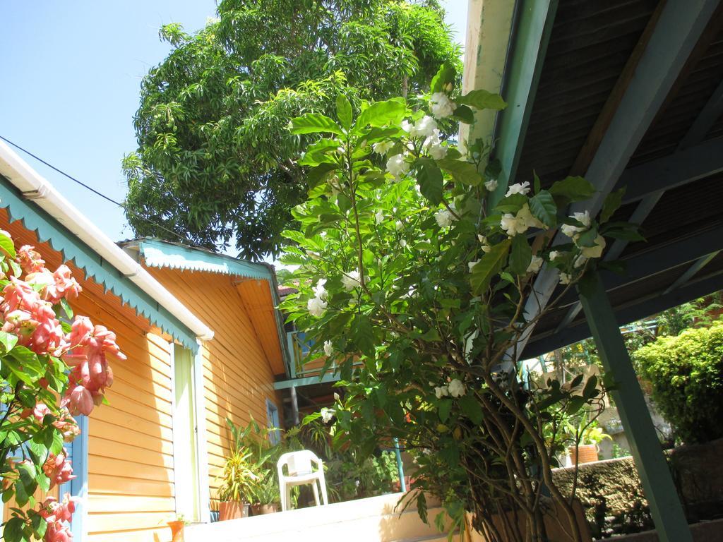 Hotel Flemming Tree Providencia Island Extérieur photo