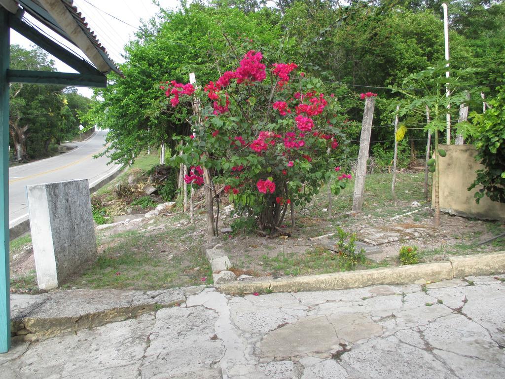 Hotel Flemming Tree Providencia Island Extérieur photo