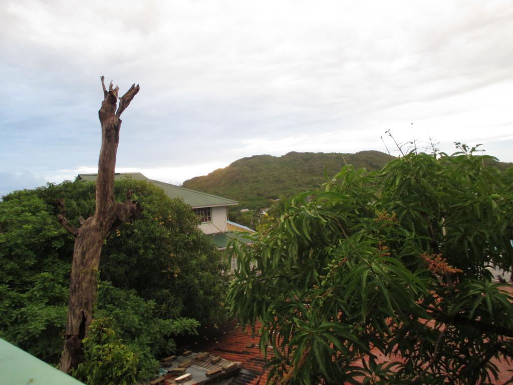 Hotel Flemming Tree Providencia Island Extérieur photo