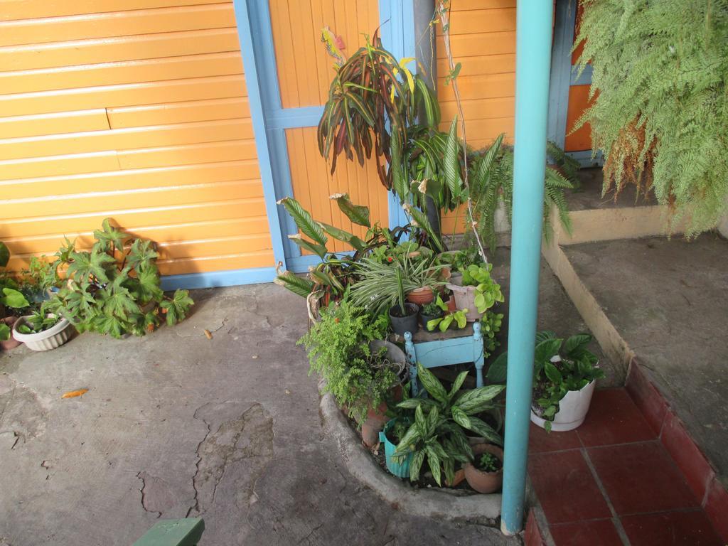Hotel Flemming Tree Providencia Island Extérieur photo