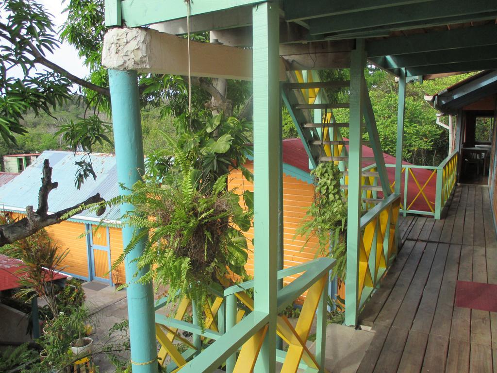 Hotel Flemming Tree Providencia Island Extérieur photo