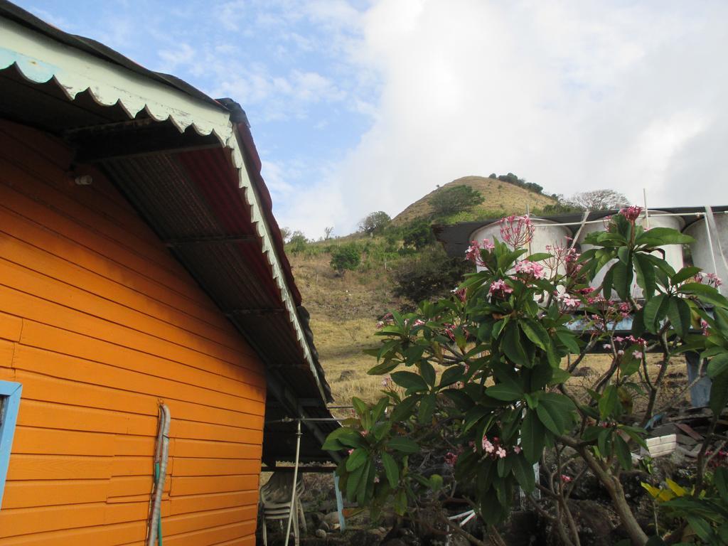 Hotel Flemming Tree Providencia Island Extérieur photo