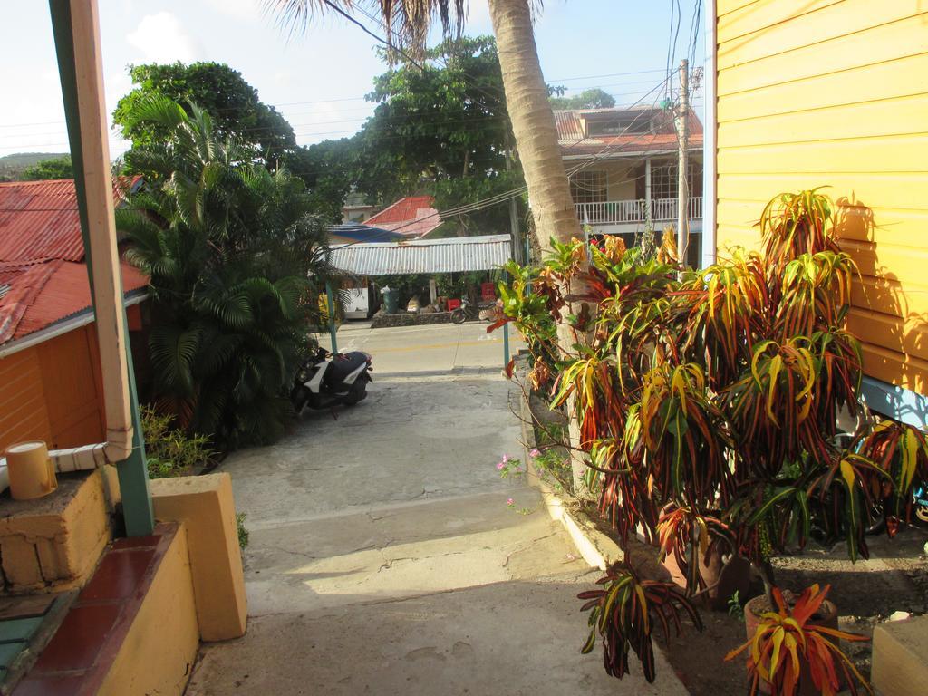 Hotel Flemming Tree Providencia Island Extérieur photo