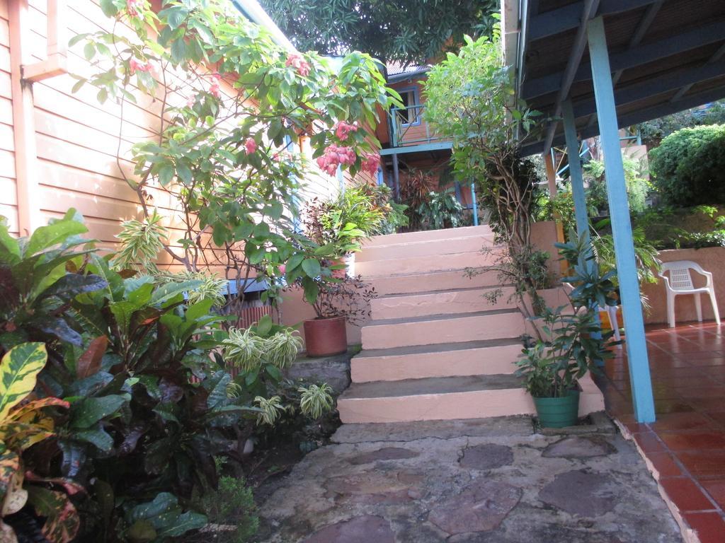 Hotel Flemming Tree Providencia Island Extérieur photo