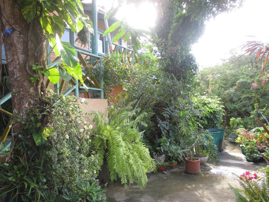 Hotel Flemming Tree Providencia Island Extérieur photo
