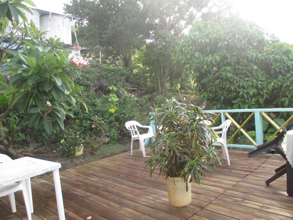 Hotel Flemming Tree Providencia Island Extérieur photo