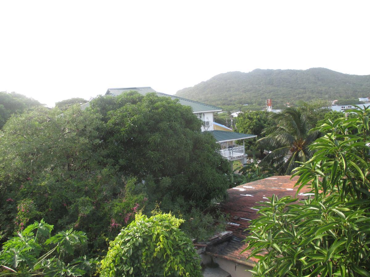 Hotel Flemming Tree Providencia Island Extérieur photo