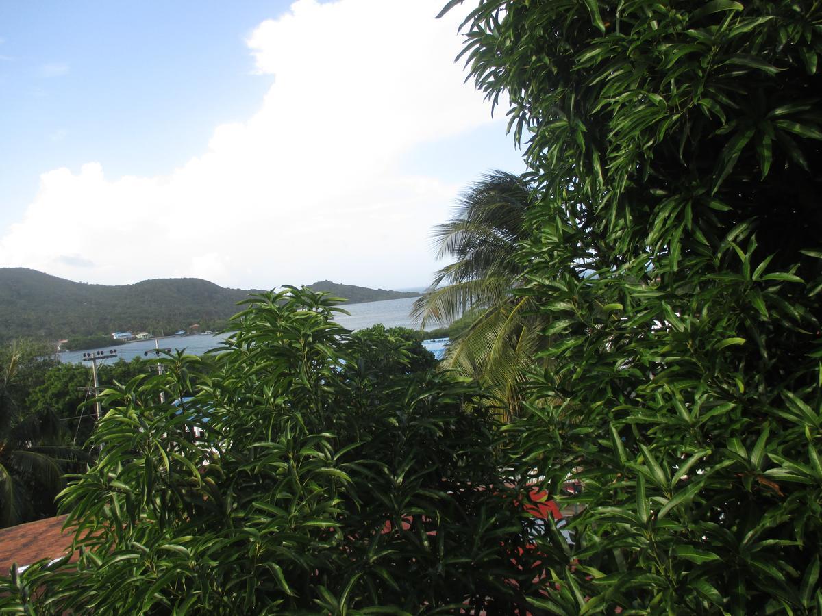 Hotel Flemming Tree Providencia Island Extérieur photo